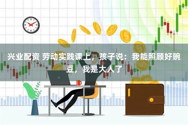 兴业配资 劳动实践课上，孩子说：我能照顾好豌豆，我是大人了